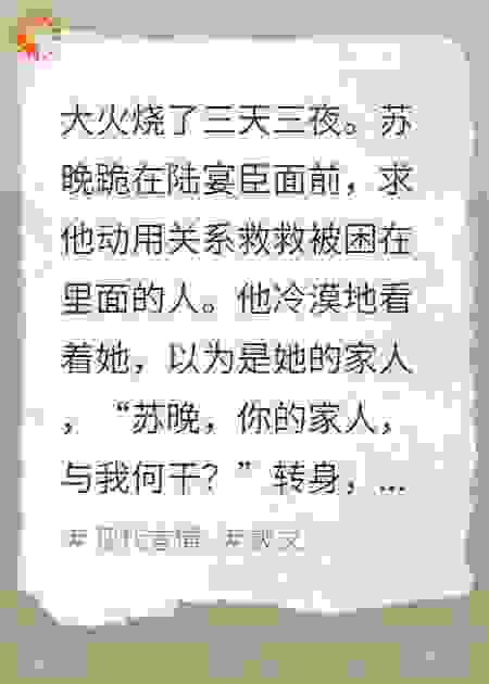 总裁亲手将我送进监狱，殊不知死的是他亲妹妹