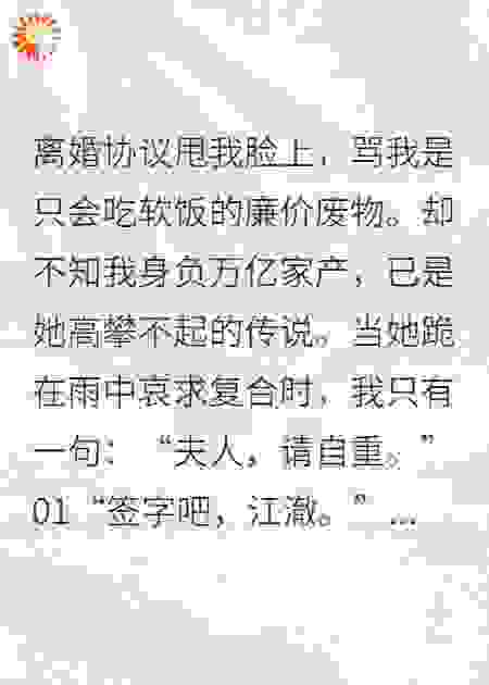 离婚后，万亿神豪的身份藏不住了