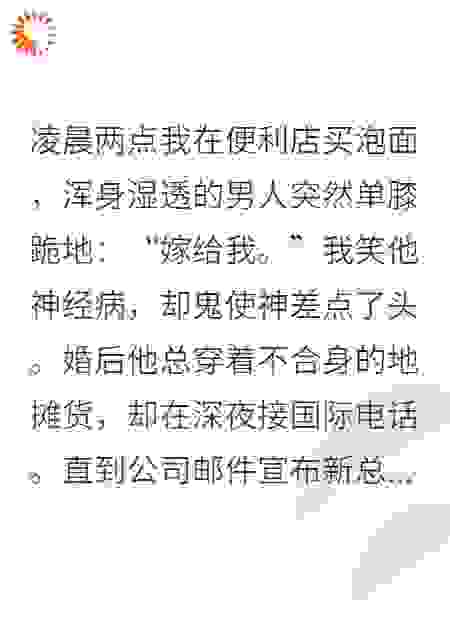 闪婚老公，居然是公司新来的总裁
