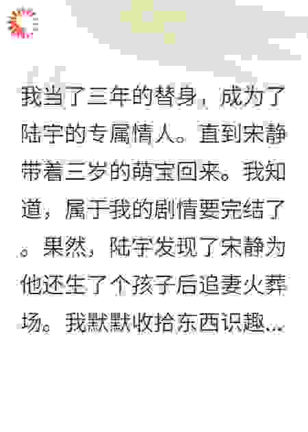 他追妻火葬场后，我识趣离开