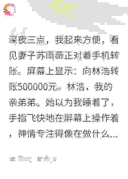 妻子深夜给小叔子转账，我让她疯