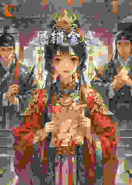 恨锁金鸾