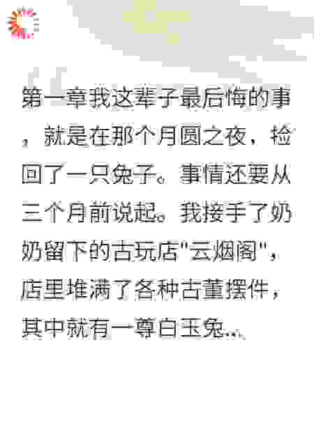 古董店里钻出的小兔子