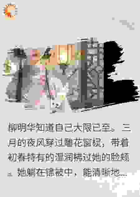 梨花落尽终成雪