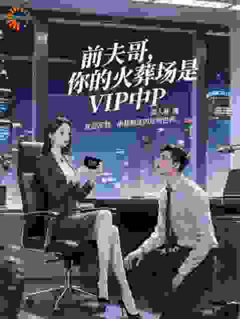 前夫哥，你的火葬场是VIP中P