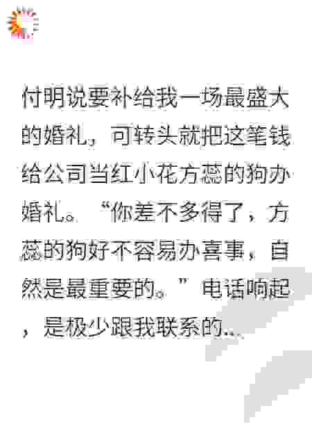 老公给狗举办婚礼，我直播离婚