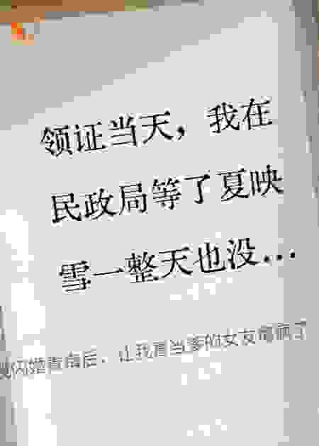 我闪婚青梅后，让我喜当爹的女友悔疯了
