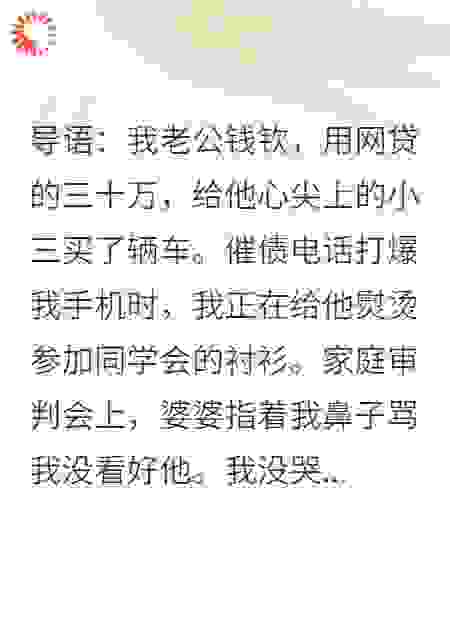 老公养小三，我榨干他爹养老金