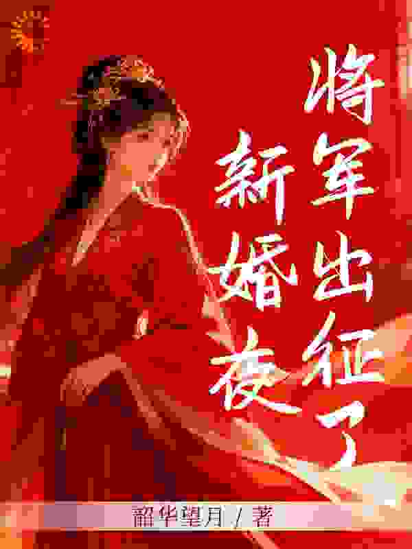 新婚夜，将军出征了
