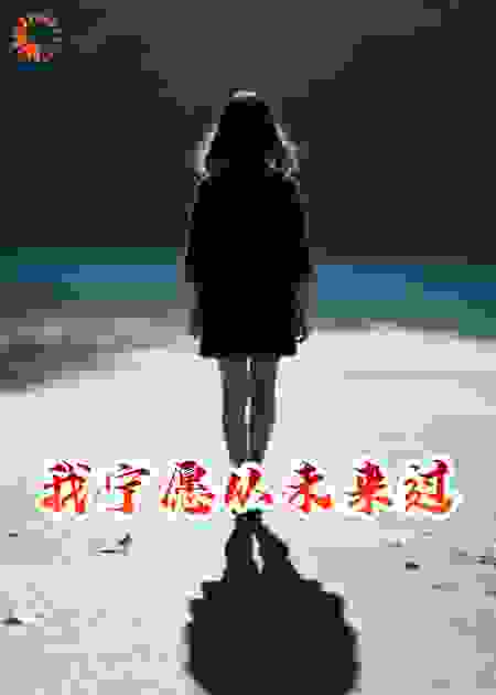 我宁愿从未来过