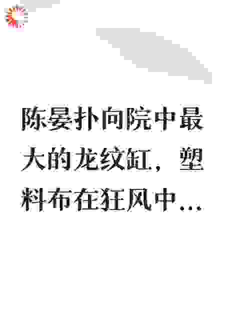 咸涩人间：豆瓣酱的女儿