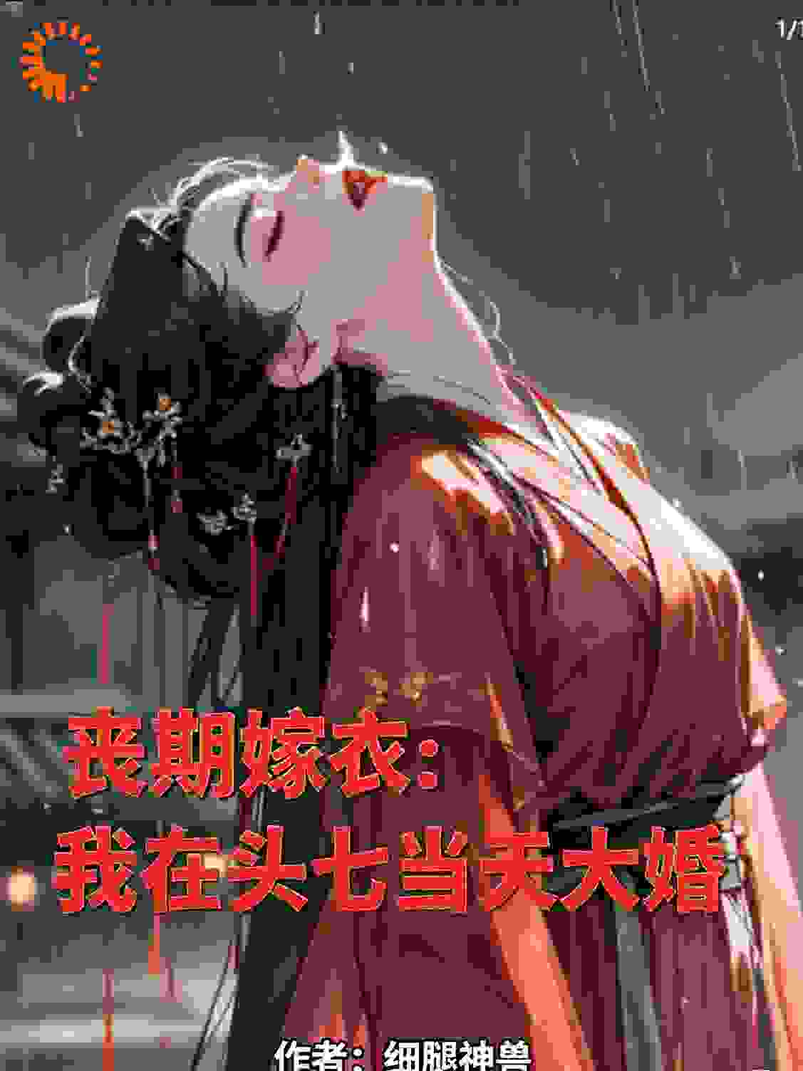 丧期嫁衣：我在头七当天大婚