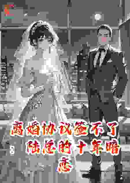 离婚协议签不了：陆总的十年暗恋