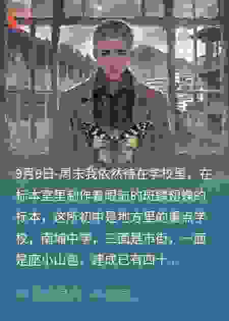 噤声之蝶