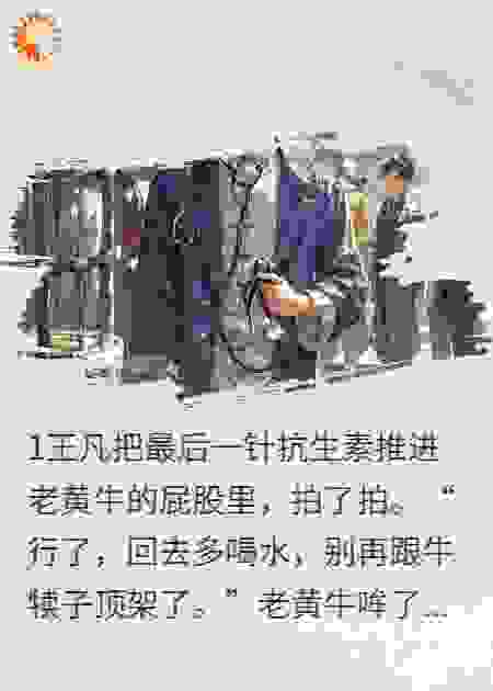 身为兽医的我给狮子看病，它开口就说我是兽神转世