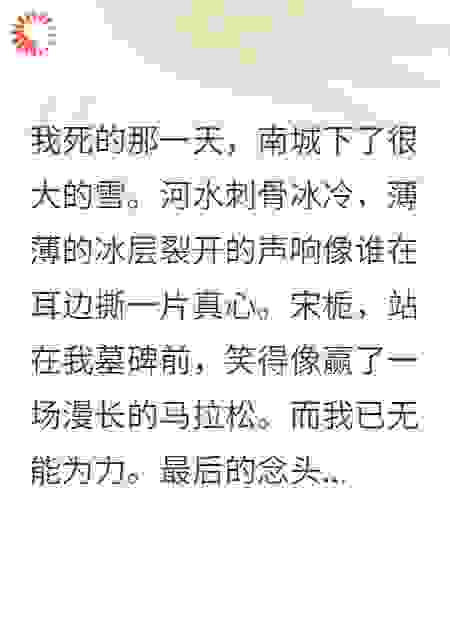 我死的那一天，南城下了很大的雪