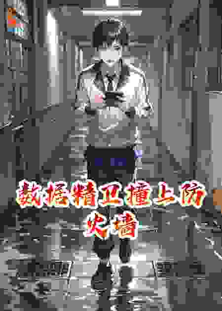 数据精卫撞上防火墙