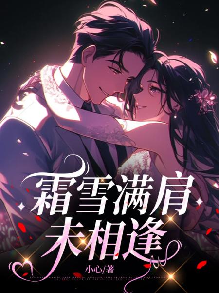 霜雪满肩未相逢