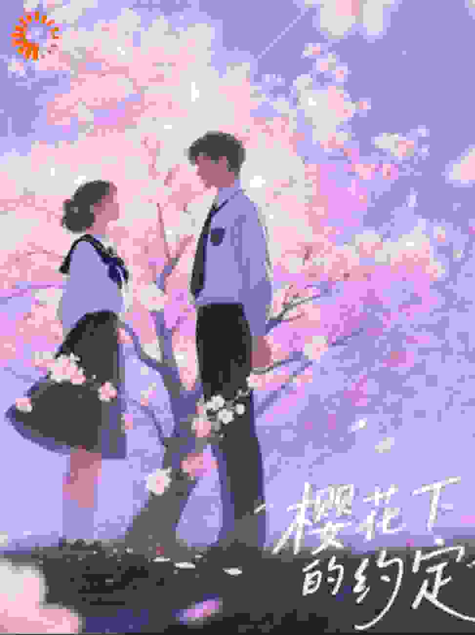 樱花下的约定：沉晚