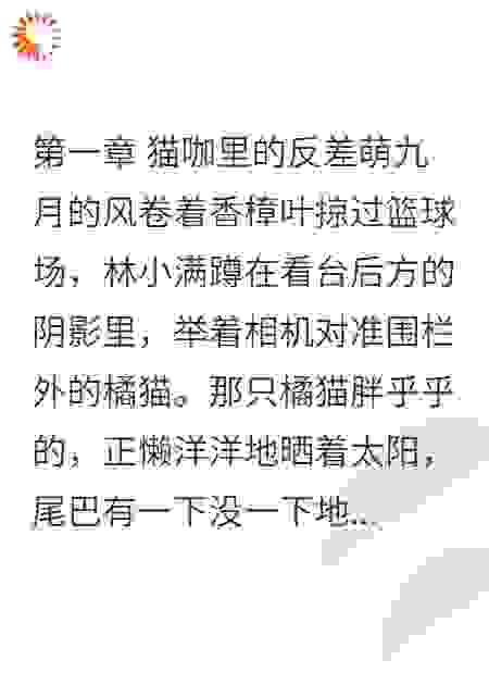 镜头下的风与糖