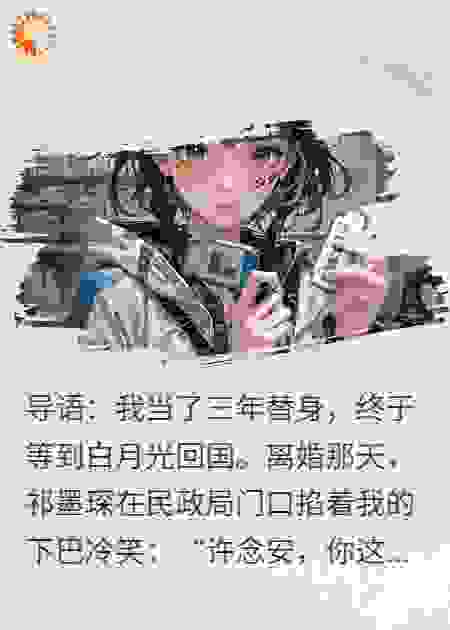 替身离婚后，大佬他红了眼