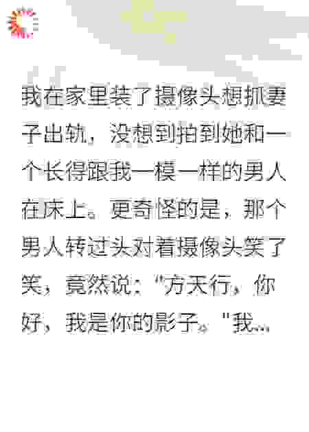 妻子爱上我的镜中影子