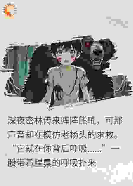 学人熊