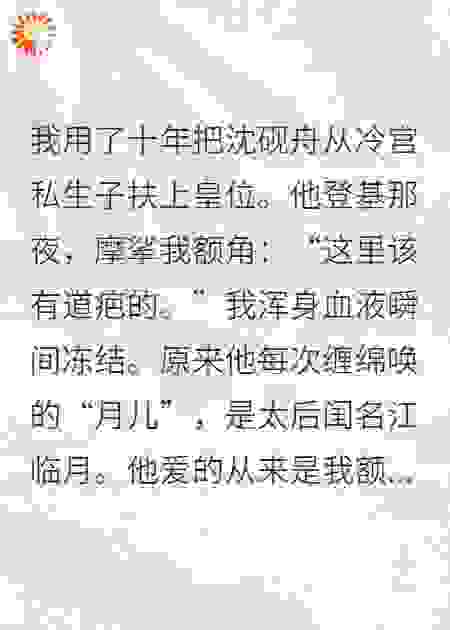 将太后私生子送上龙椅后我封心了