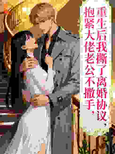重生后我撕了离婚协议，抱紧大佬老公不撒手