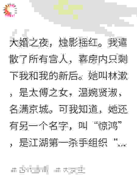朕的皇后，是天下第一刺客