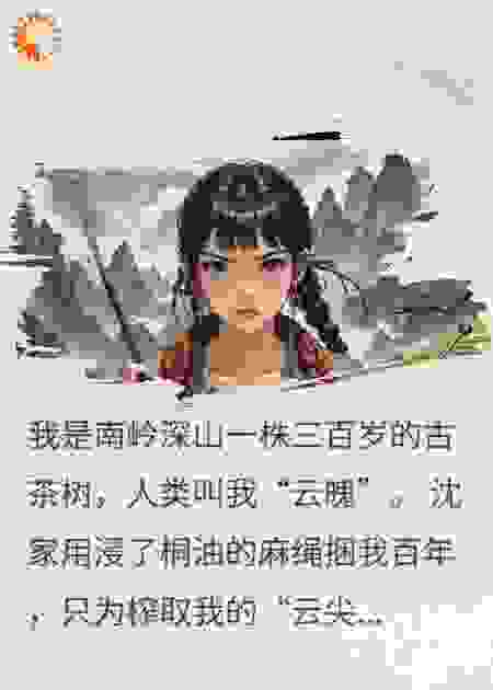 茶魄醒山时